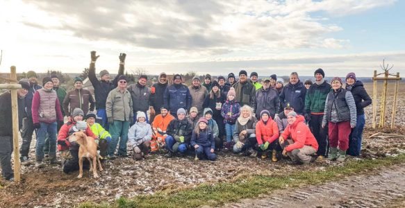 Wir laden ein zur großen Pflanzaktion am 8. November in Grimma/Löbschütz