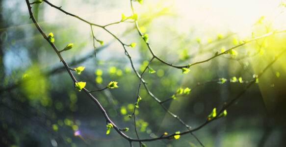 Pflegeeinsatz Zeunitz am 28. März 2026