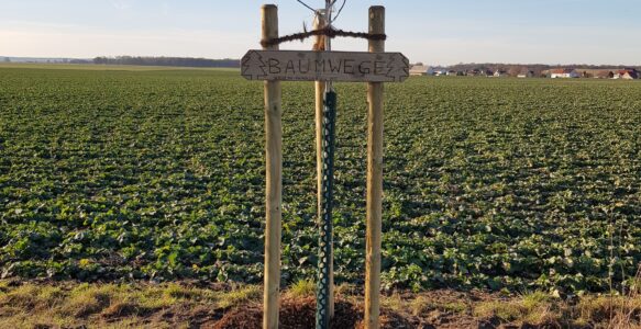 Herbstliche Grüße und Terminankündigung